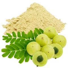 Organic Gooseberry Powder, for Cooking, Hair Oil, Medicine, Certification : FSSAI Certified