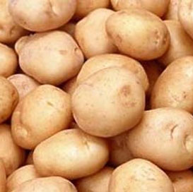 Kufri Sindhuri Potato