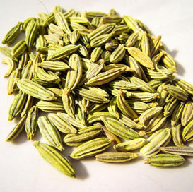 Singapore Quality Fennel Seeds