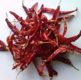 Wrinkled 273 Dried Red Chilli