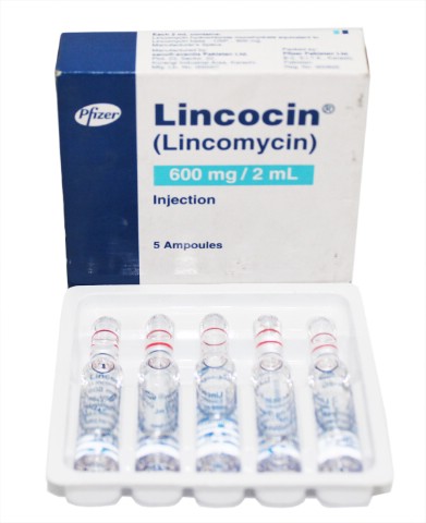 Lincocin Injection