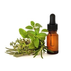 Organic Marjoram Oil - KC, Shelf Life : 2years