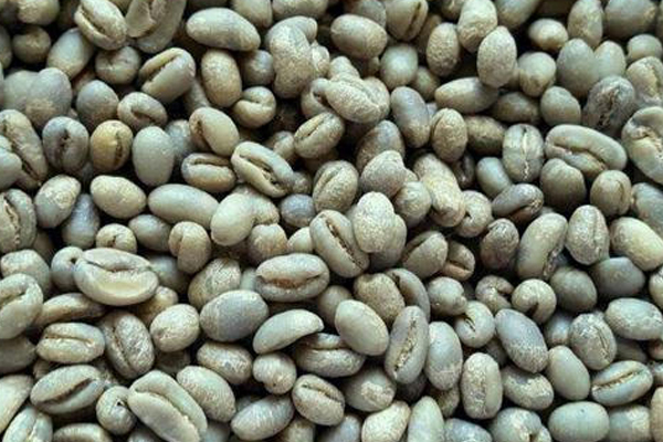 raw coffee beans
