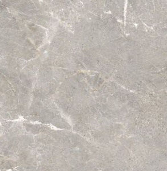 Paragon Floor Tiles, Size : 800x800 Mm