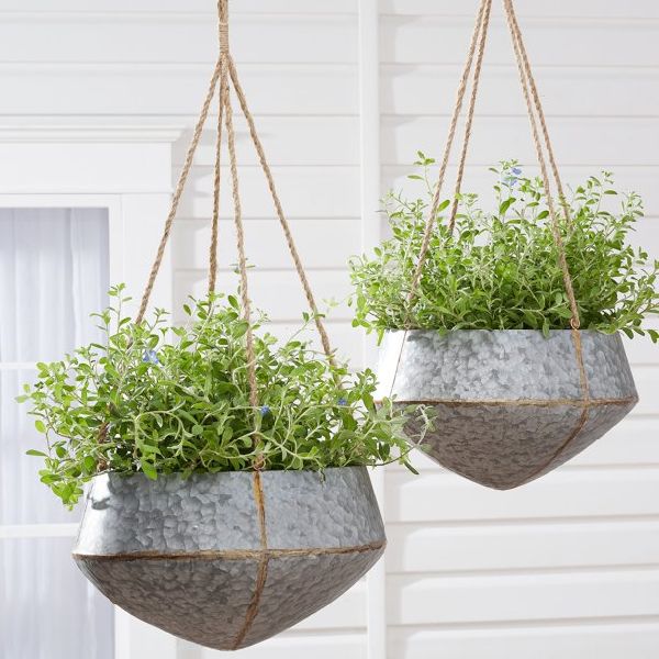 Stainless Steel Hanging Planter, for Decoration