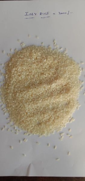 Hard Common IDLI RICE, for Human Consumption, Form : Solid