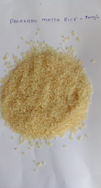 Hard Common PALAKKADU MATTA RICE, for Human Consumption, Form : Solid