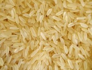 Organic Parboiled Non Basmati Rice, for Gluten Free, High In Protein, Variety : Long Grain, Medium Grain