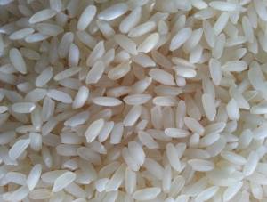 Organic Swarna Non Basmati Rice, Variety : Long Grain, Medium Grain, Short Grain