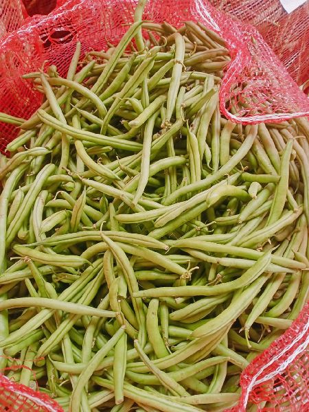 Fresh Organic Beans, Packaging Type : Net Bag