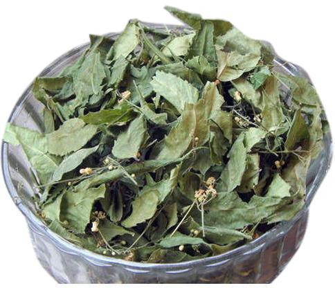 Dry Neem Leaves