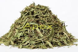 Shymaa Naturals Dry Stevia Leaves, Color : Green
