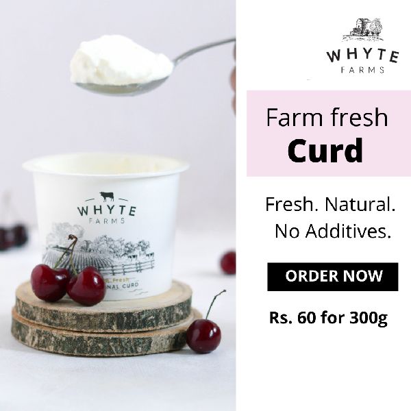 farm-fresh-artisanal-curd-whyte-farms-delhi-delhi