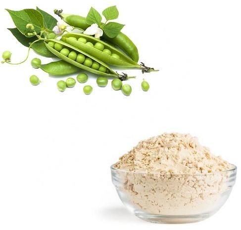 Pea Protein Powder