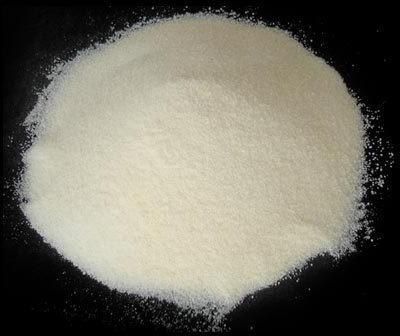 Sodium Caseinate