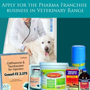 Veterinary PCD Pharma Franchise