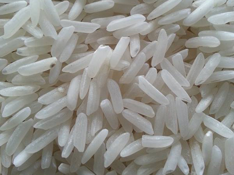 Organic Sabarmati Raw Basmati Rice, for Human Consumption, Packaging Type : Packed in PP Bags