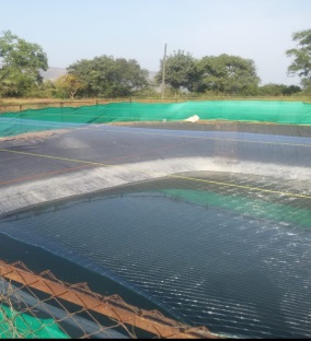 Nylon Bird Net, for Protection Fish Aquaculture, Color : Green