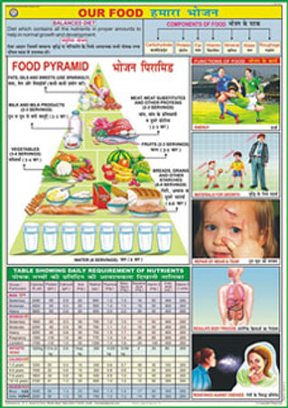 PVC Food Nutrition Chart, for Hospital