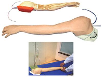 Vein Injection Arm Model