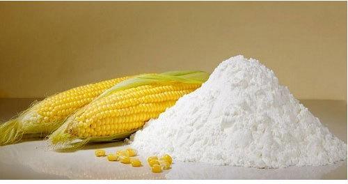 Maize Starch Powder