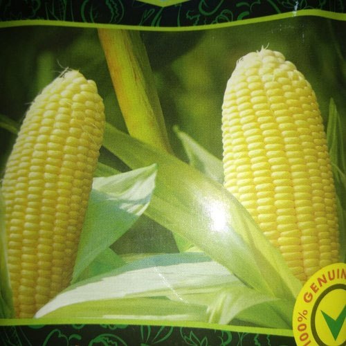 Sweet Corn Seed, Packaging Type : Packet