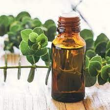 eucalyptus oil