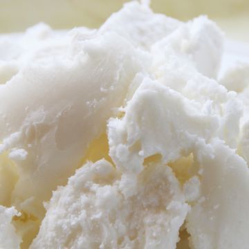 HYDROGENATED PALM STEARIN Palm Kernel Oil