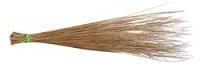 Coconut Broom