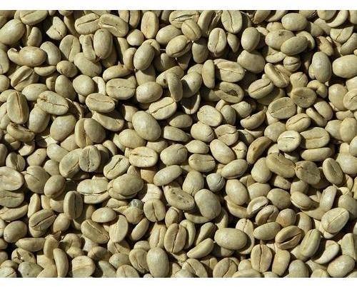 Ajanta green coffee beans