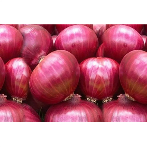 Common Fresh Onions, for Cooking, Packaging Type : Mesh bag, jute bag