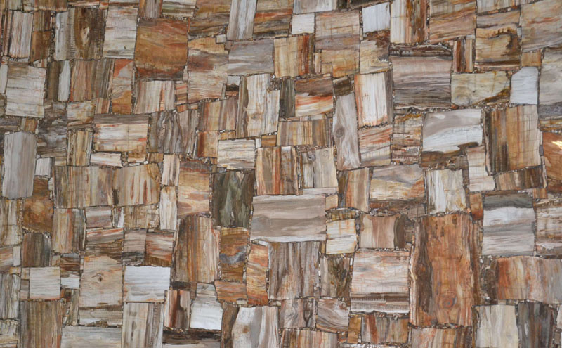 Petrified Wood Slabs, Color : Brown