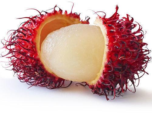 Natural fresh rambutan, Packaging Type : Carton