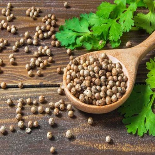 Natural coriander seeds, for Cooking, Grade Standard : Food Grade