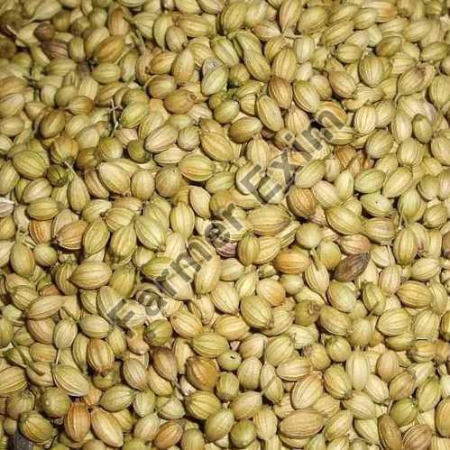 Natural coriander seeds, Packaging Type : Jute Sacks