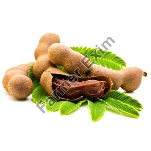 Natural Fresh Tamarind, for Cooking, Specialities : Long Shelf Life