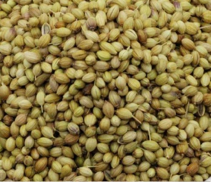 Coriander Seeds