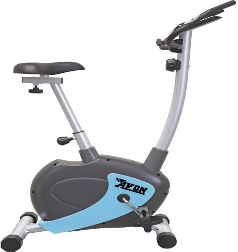 UP-948 Upright Bike