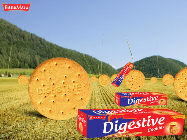 Digestive cookies