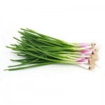 Organic Fresh Spring Onion, for Cooking, Feature : High Quality