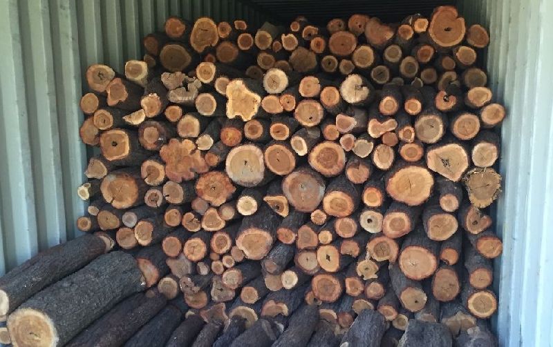 Round Brown Sandalwood Logs
