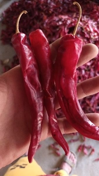 Natural Kashmiri mirchi, for Cooking, Spices, Packaging Type : Plastic Packet