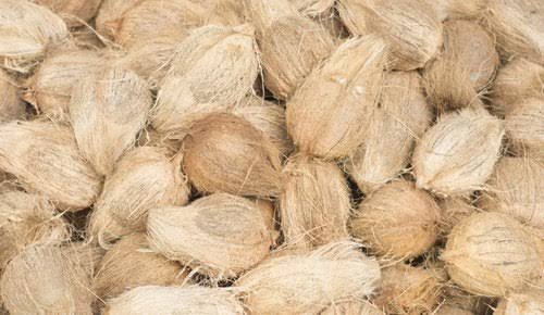 Soft Natural Semi Husked Coconuts, for Free From Impurities, Freshness, Good Taste, Healthy, Packaging Type : Plastic Sack