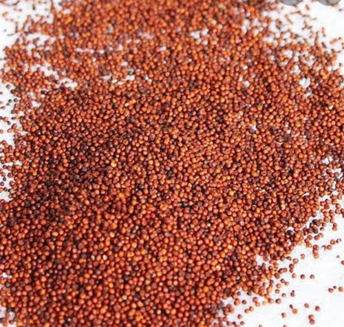 ragi millet