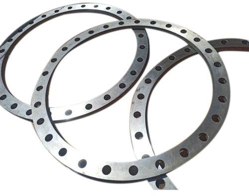 Mild Steel Ring Flange