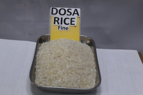 Dosa Rice, Variety : Indian