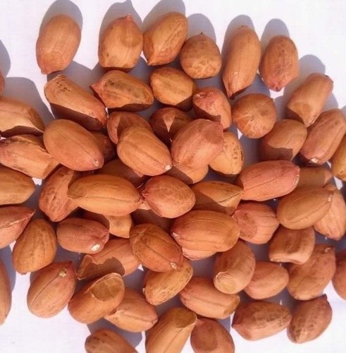 Organic Peanut Kernels