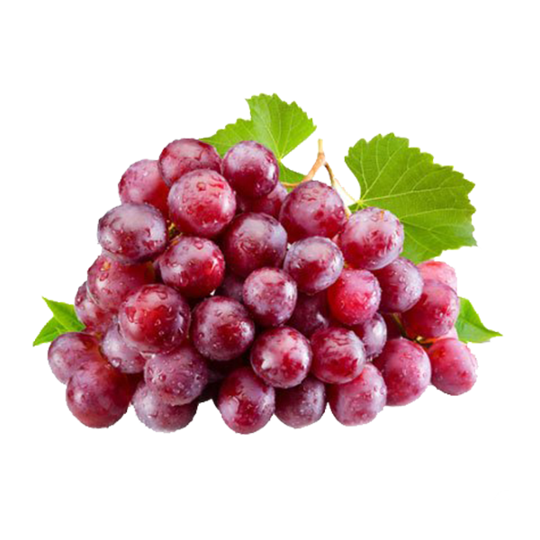 Red Globe Grapes - Sajas farmer producer company ltd, Nashik, Maharashtra