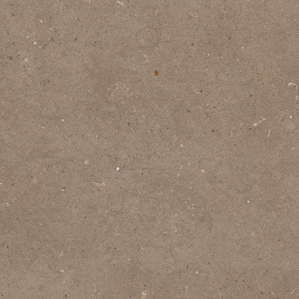 California Brown Matt Finish Floor Tiles, Size : 600 X 600mm