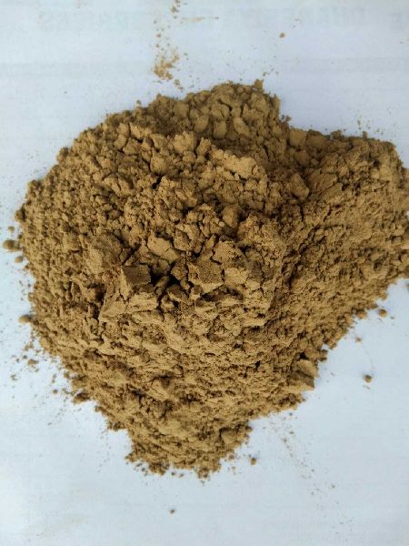 Natural ginger powder, for Spices, Packaging Type : Plastic Packet